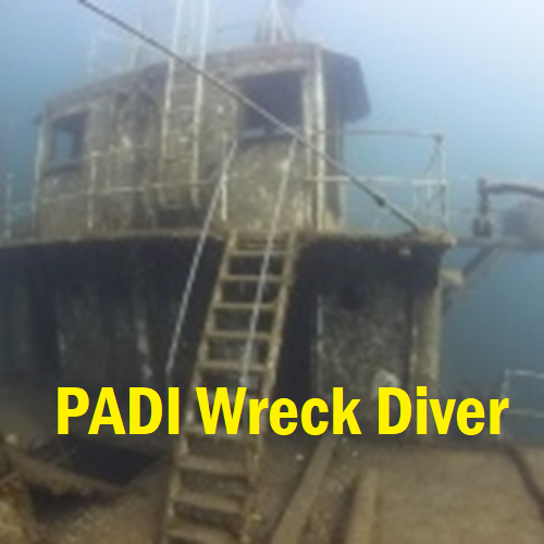 Wreck Diver